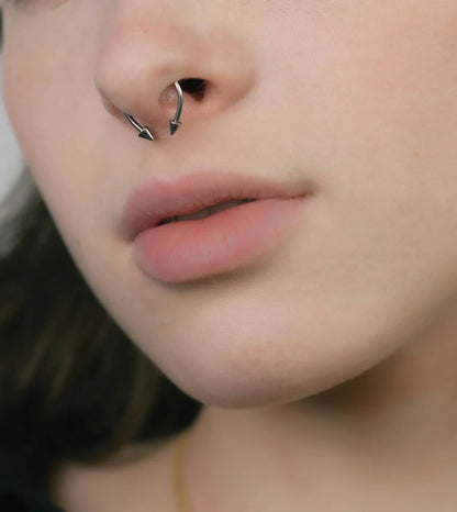 Magnetic Septum Ring