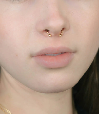 Magnetic Septum Ring